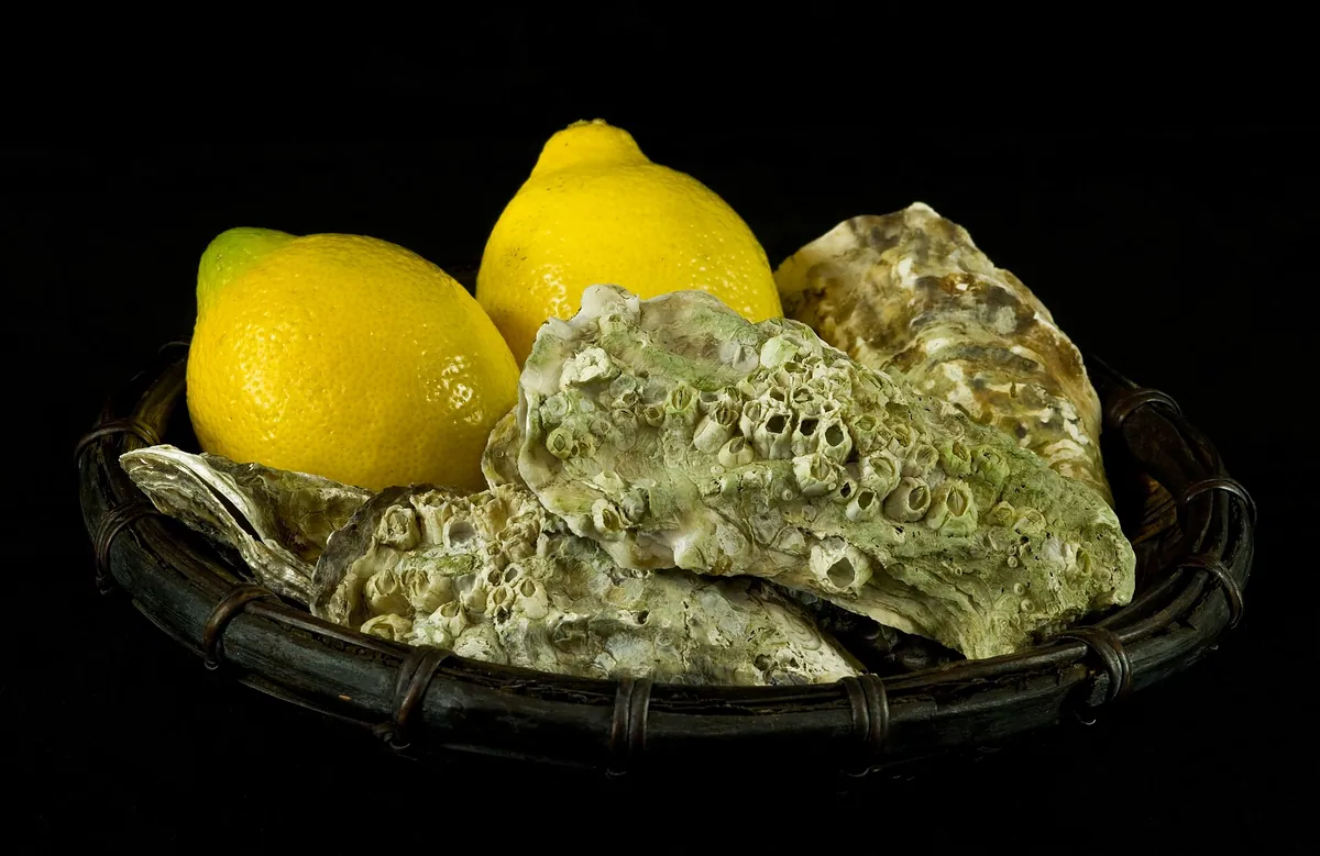 Seafood food typical of The Algiers Inn
